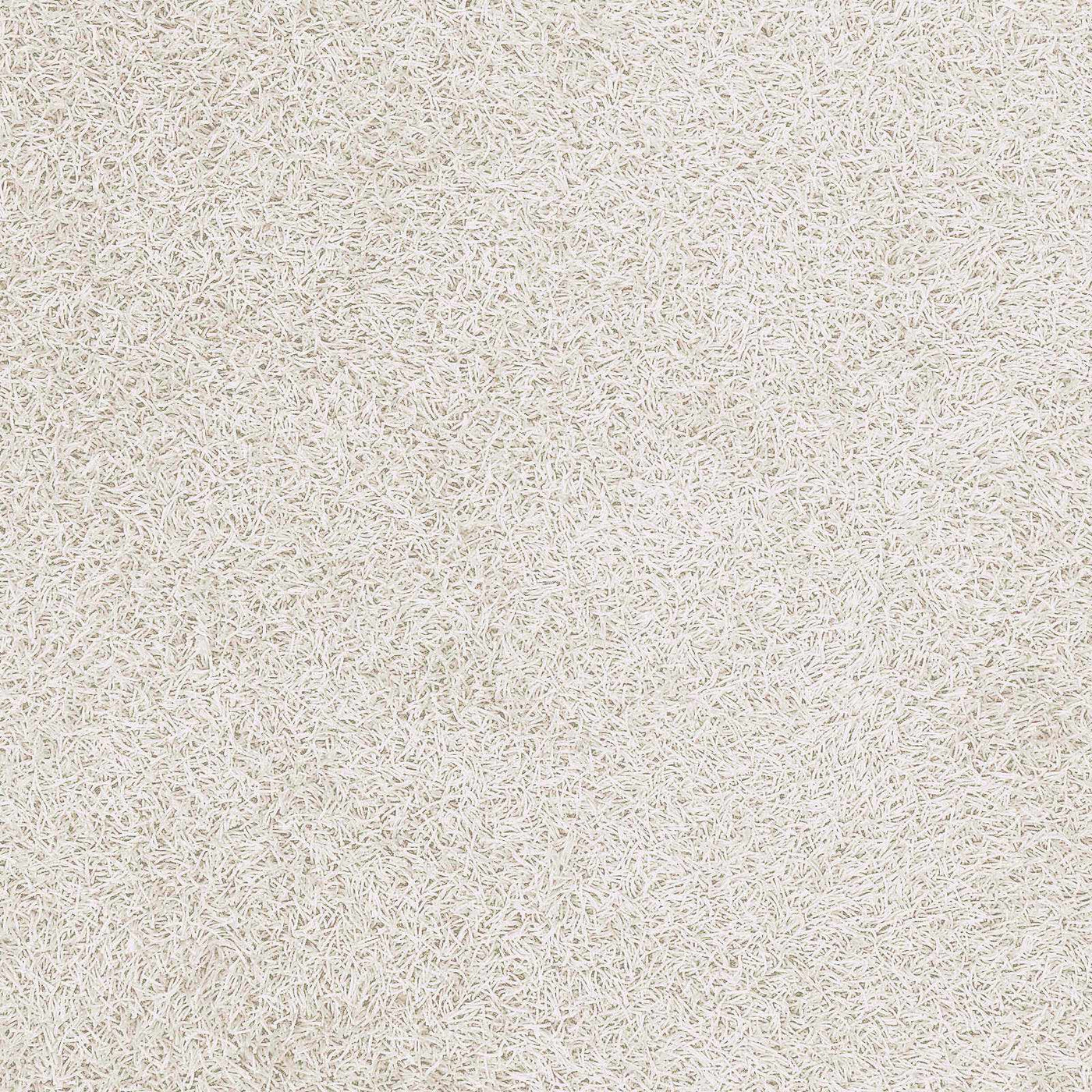 Browder 3x4 Solid Cream Shag Rug - Clearance by Boutique Rugs