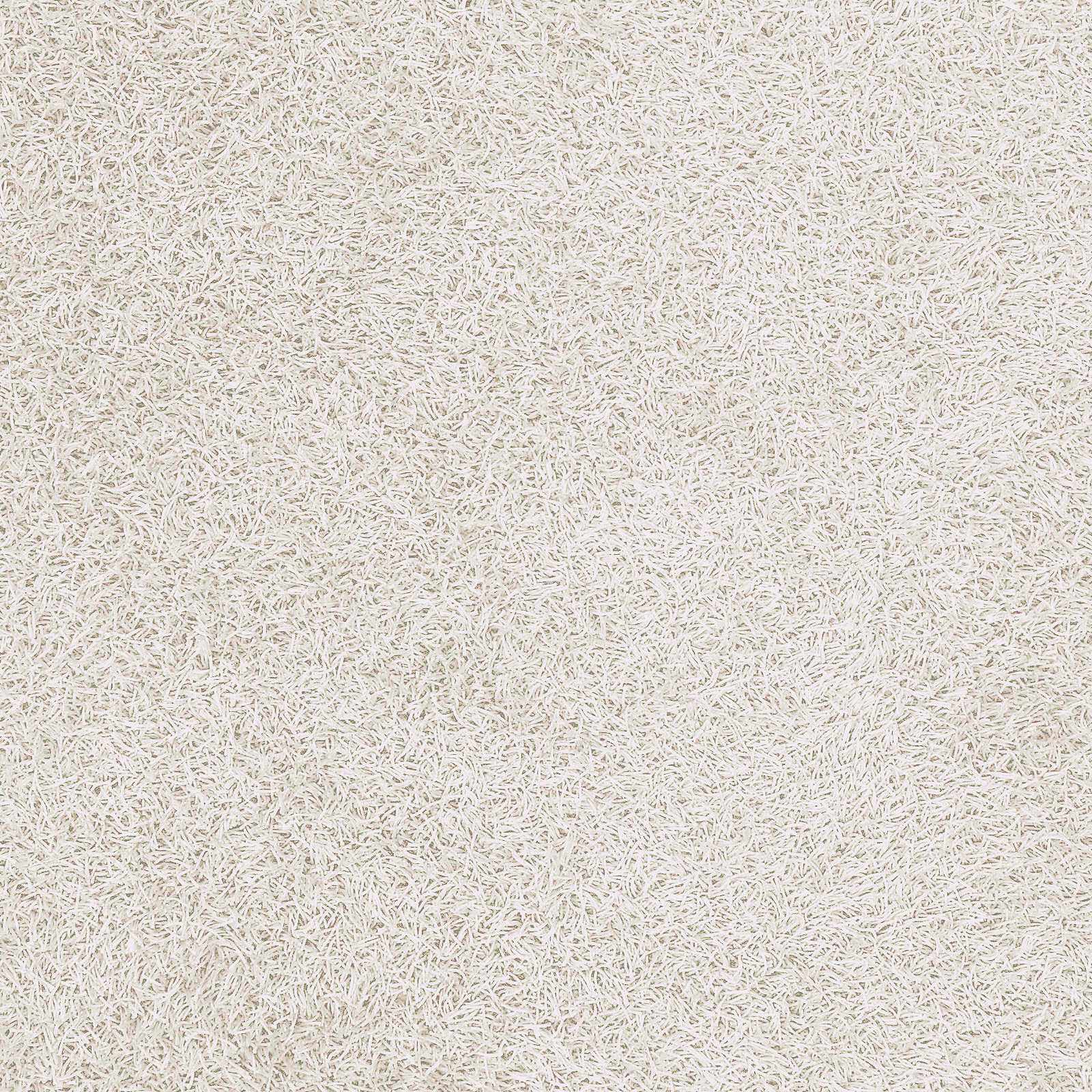Browder 3x4 Solid Cream Shag Rug - Clearance by Boutique Rugs