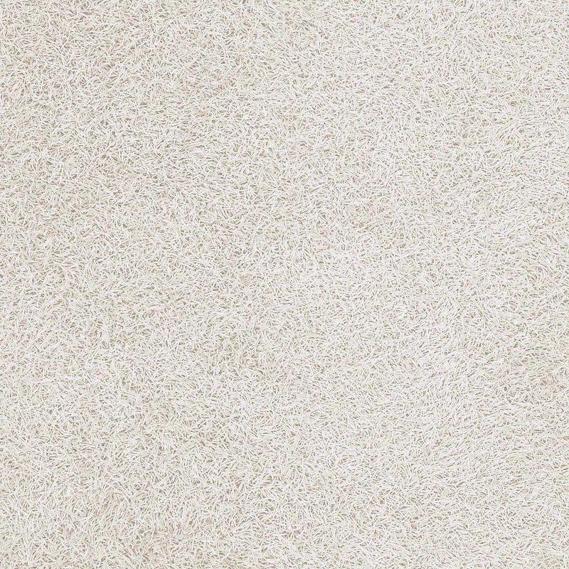Browder 3x4 Solid Cream Shag Rug - Clearance by Boutique Rugs