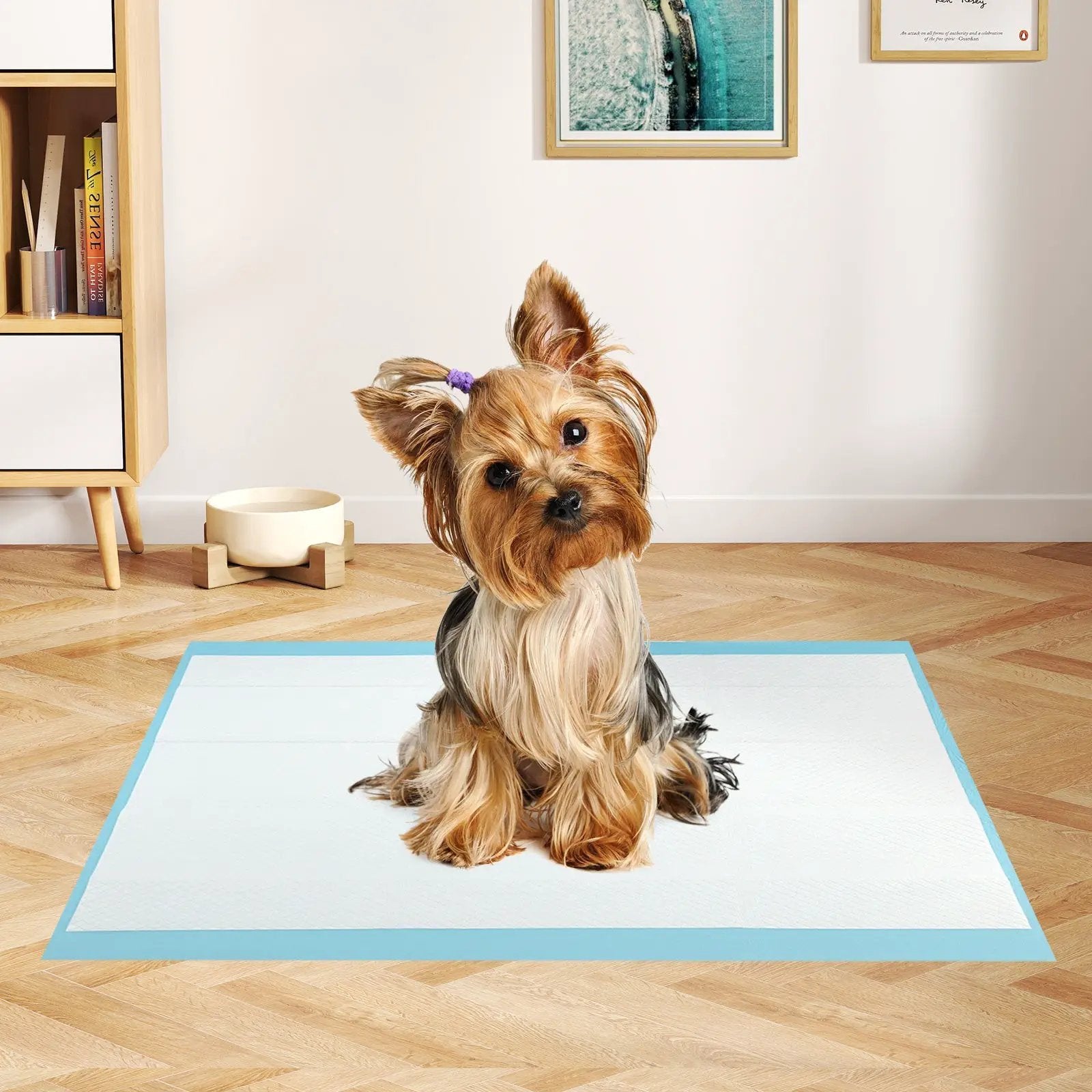 Dog and Puppy Pee Pads 24" x 17" (300 Counts) for Potty Training-Blue by DirectDeals