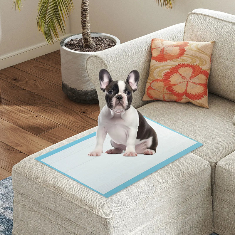 Dog and Puppy Pee Pads 24" x 17" (300 Counts) for Potty Training-Blue by DirectDeals