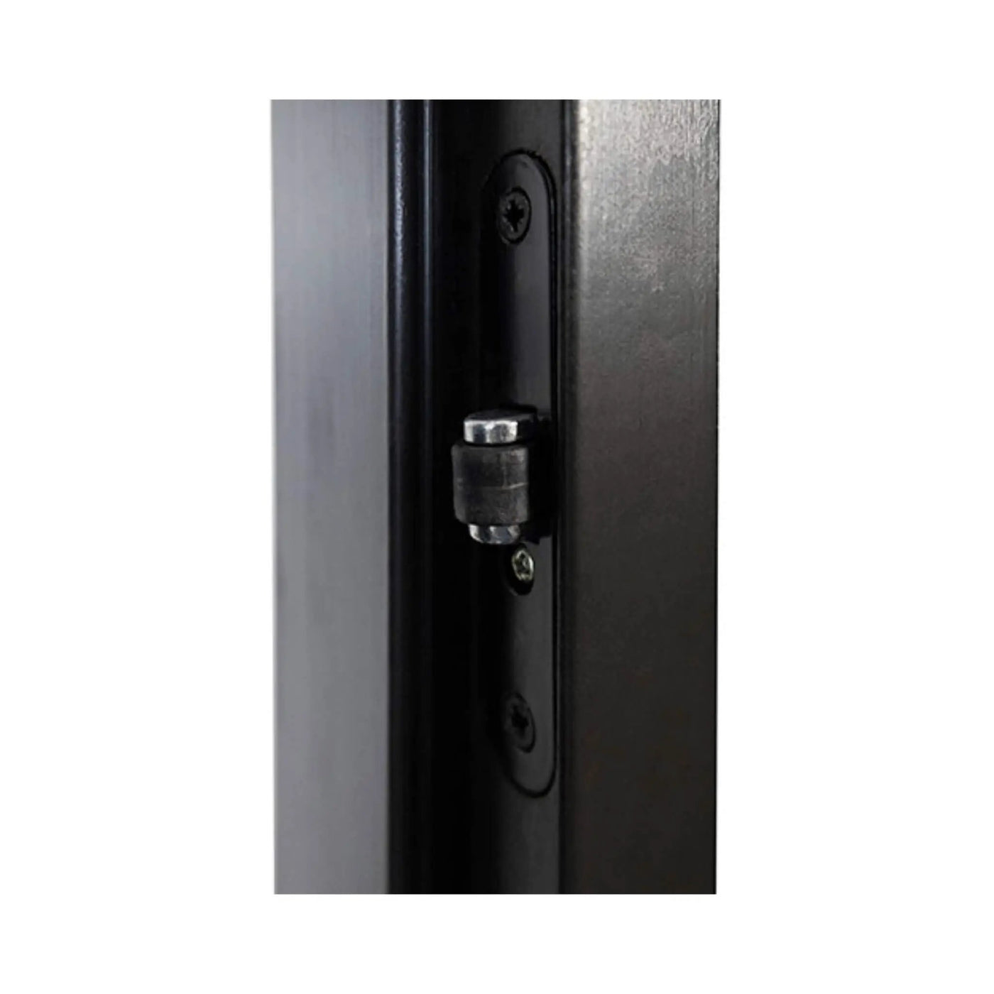 Prosaunas 24X81-Inch Black Alder Tinted Glass Sauna Door (SAK36827) by SAKSBY WHOLESALE