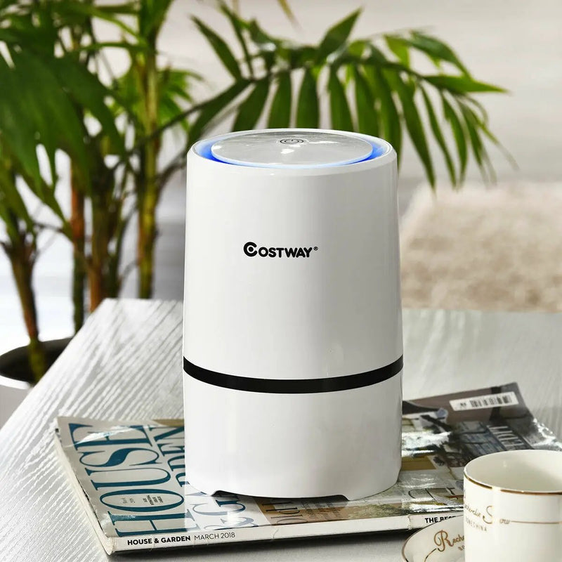Mini Ionic 3-in-1 Composite HEPA Air Purifier by DirectDeals