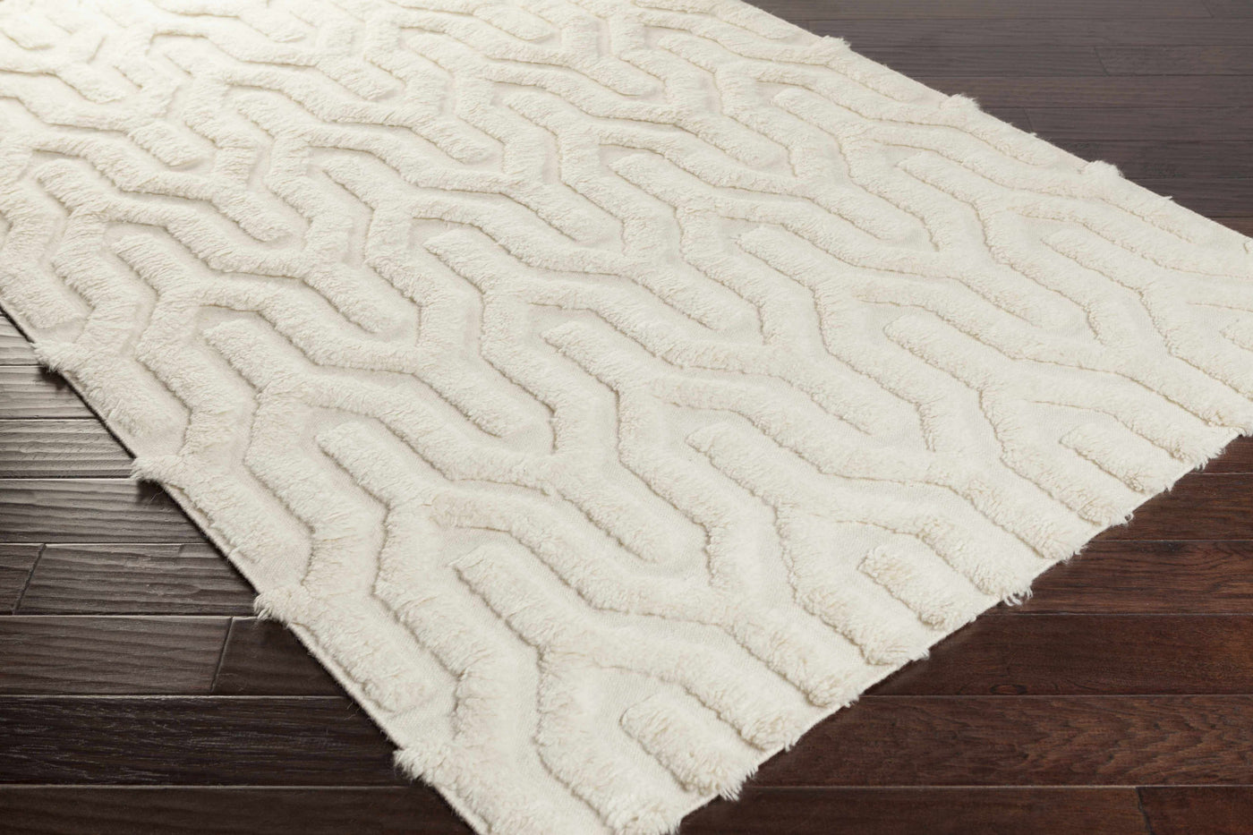 Ransom Area Rug - Clearance by Boutique Rugs