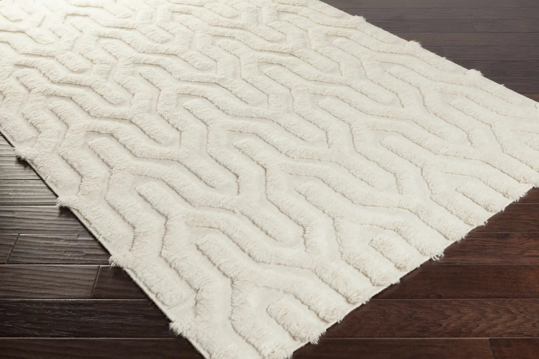 Ransom Area Rug - Clearance by Boutique Rugs