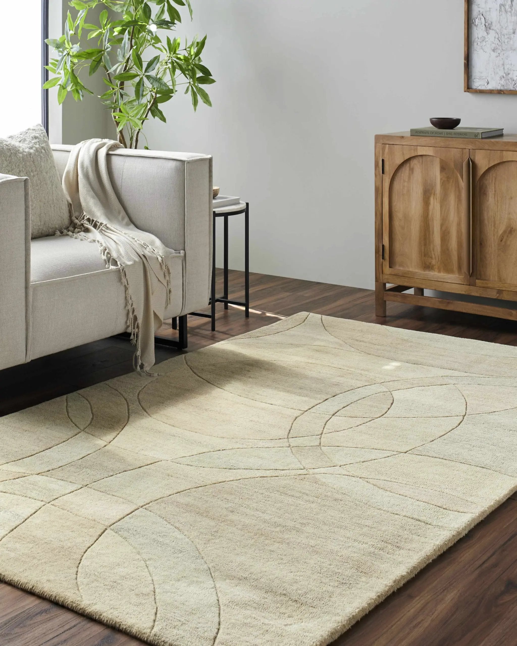 Rollo Area Rug - Clearance by Boutique Rugs
