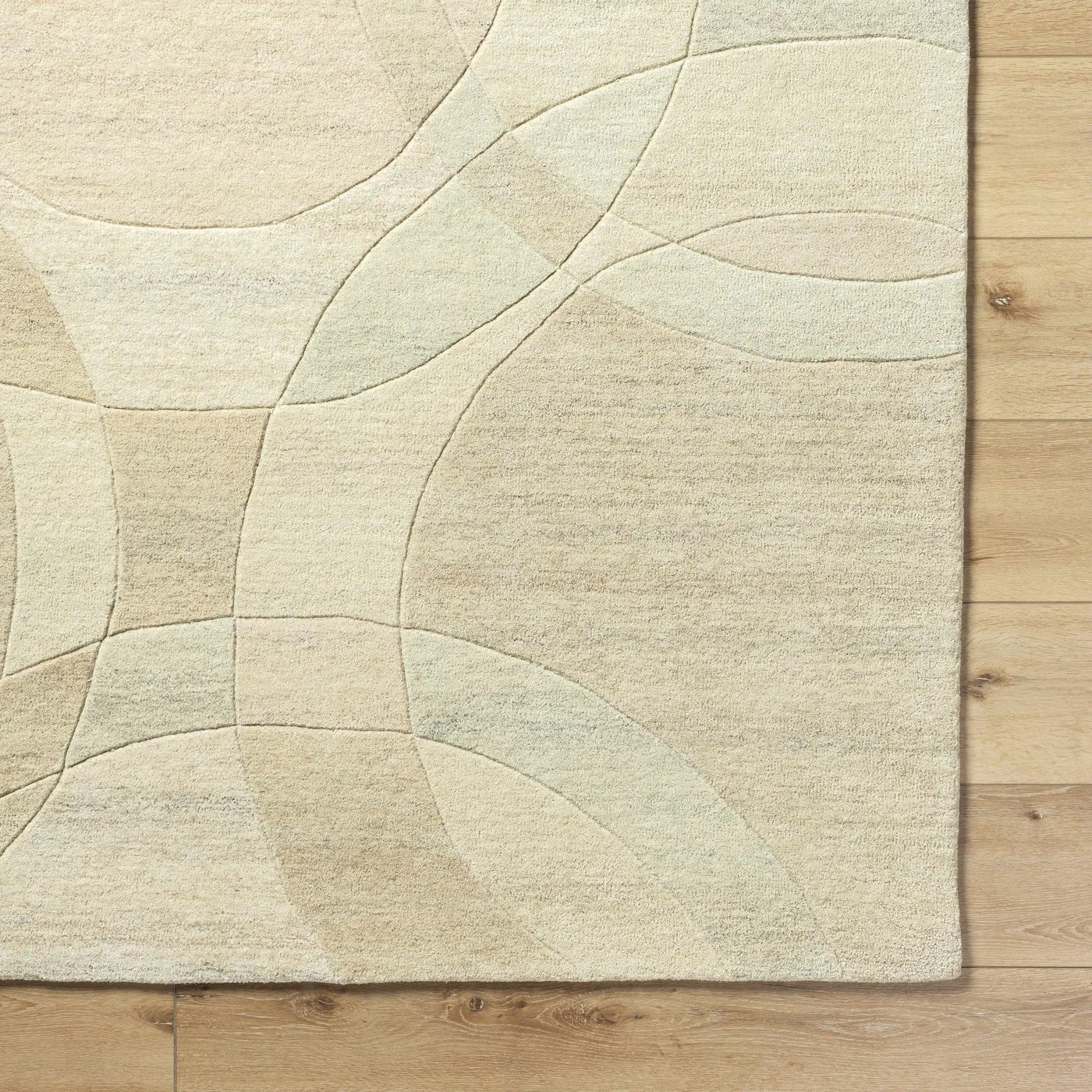 Rollo Area Rug - Clearance by Boutique Rugs