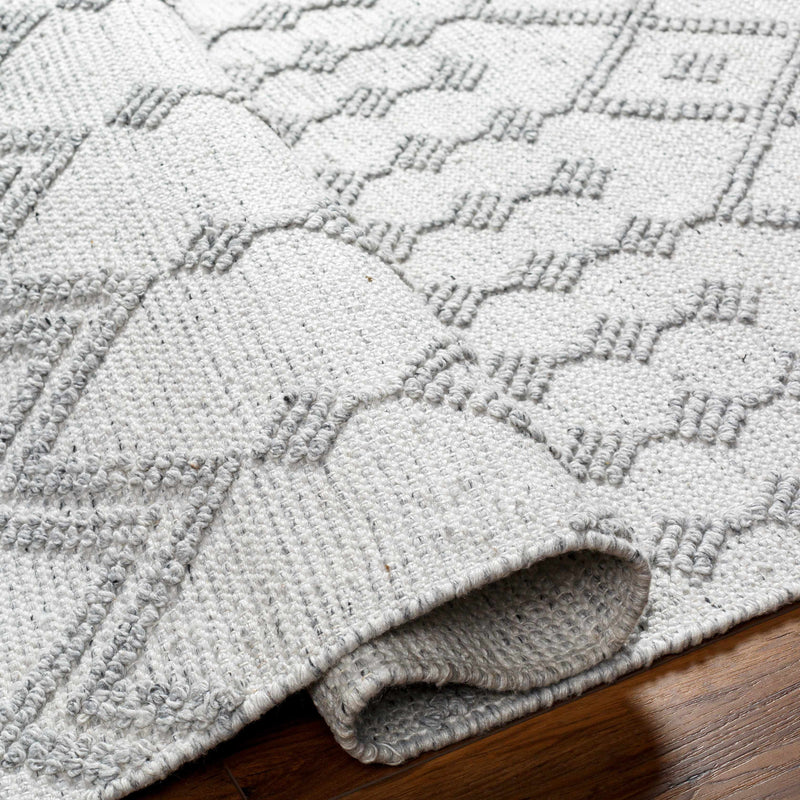Rick Area Rug - Clearance by Boutique Rugs