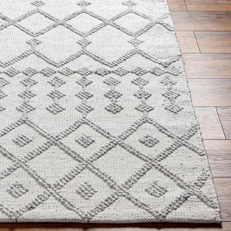 Rick Area Rug - Clearance by Boutique Rugs