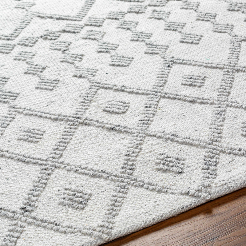 Rick Area Rug - Clearance by Boutique Rugs