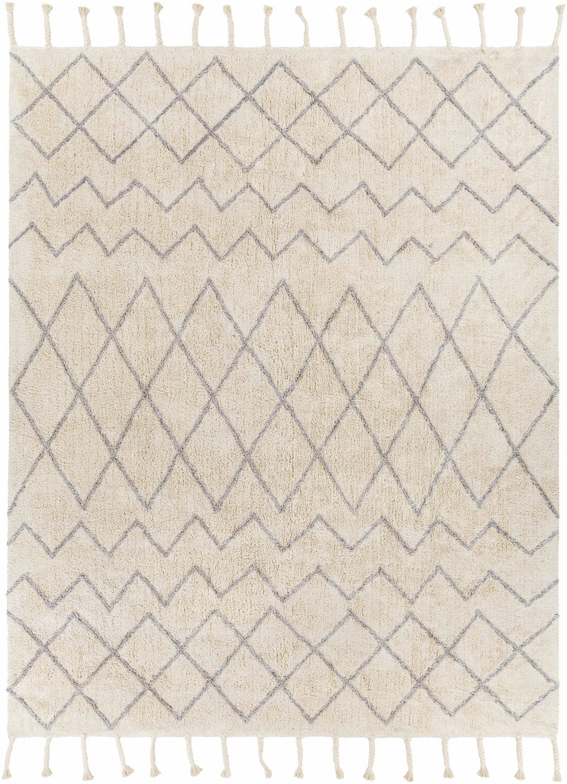Redlands Area Rug - Clearance by Boutique Rugs