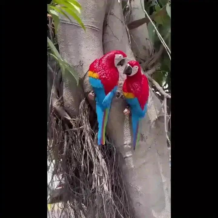Realistic Blue Hanging Parrot Statue Garden Decor by House Of Avana