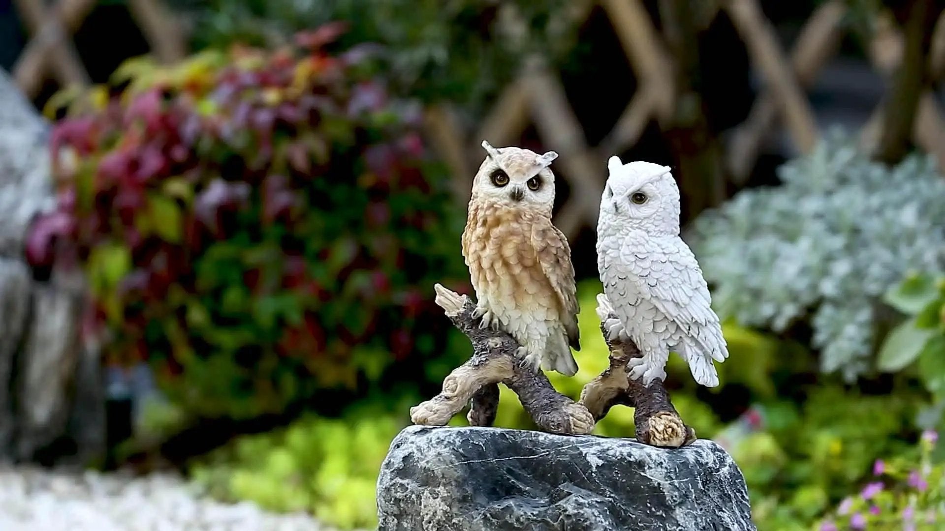 Realistic White Owl Garden Statue Perched on Branch by House Of Avana