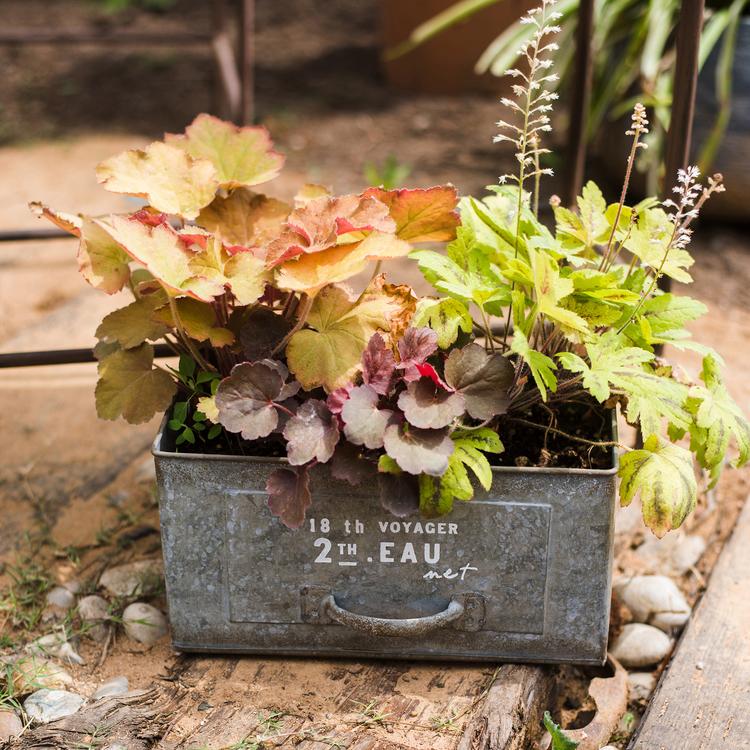Rectangular Iron Planter Drawer, photo 6 of 10