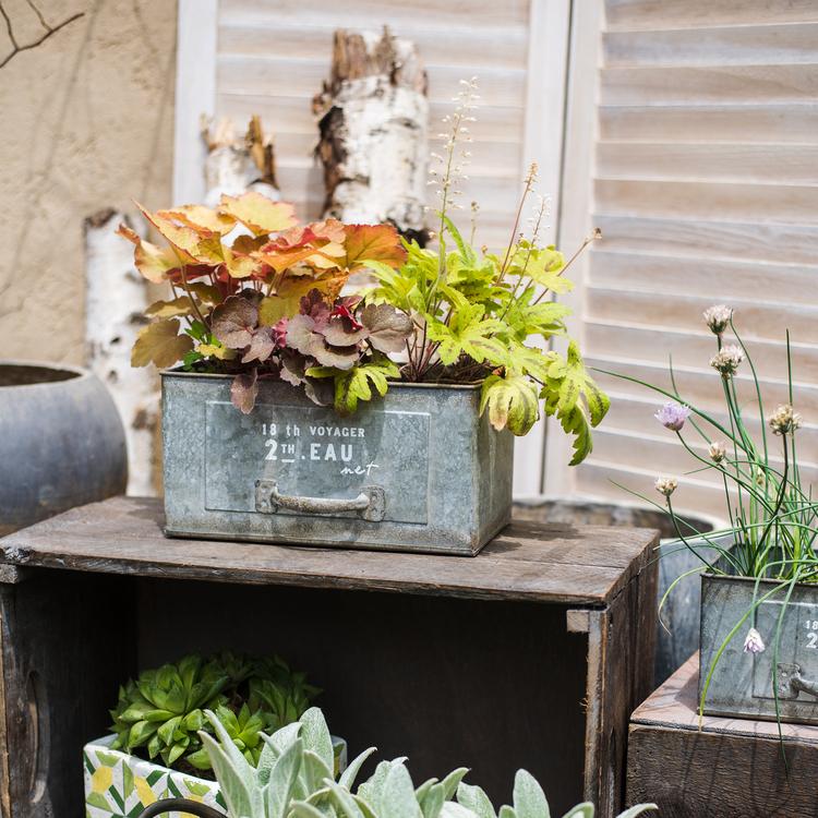 Rectangular Iron Planter Drawer, photo 5 of 10