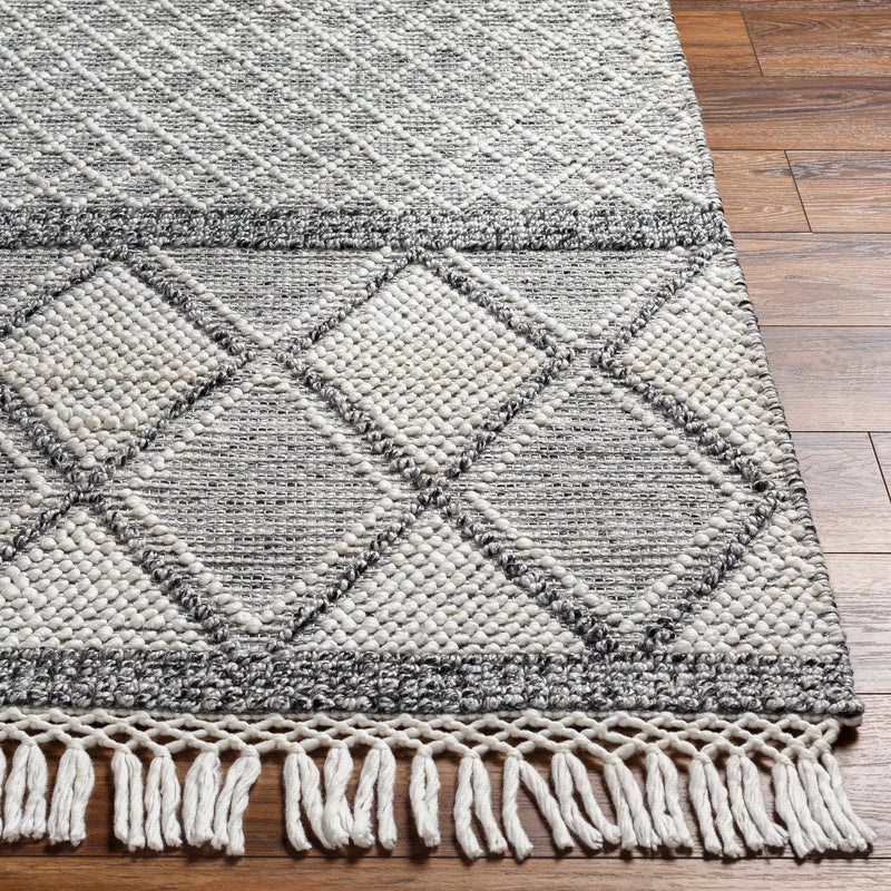 Rehn Area Rug - Clearance by Boutique Rugs