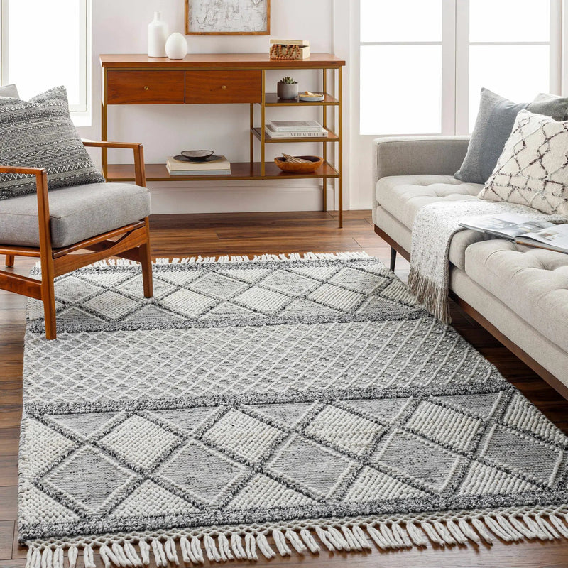 Rehn Area Rug - Clearance by Boutique Rugs