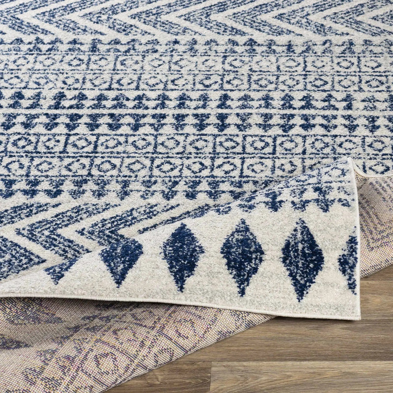 Renick Area Rug - Clearance by Boutique Rugs