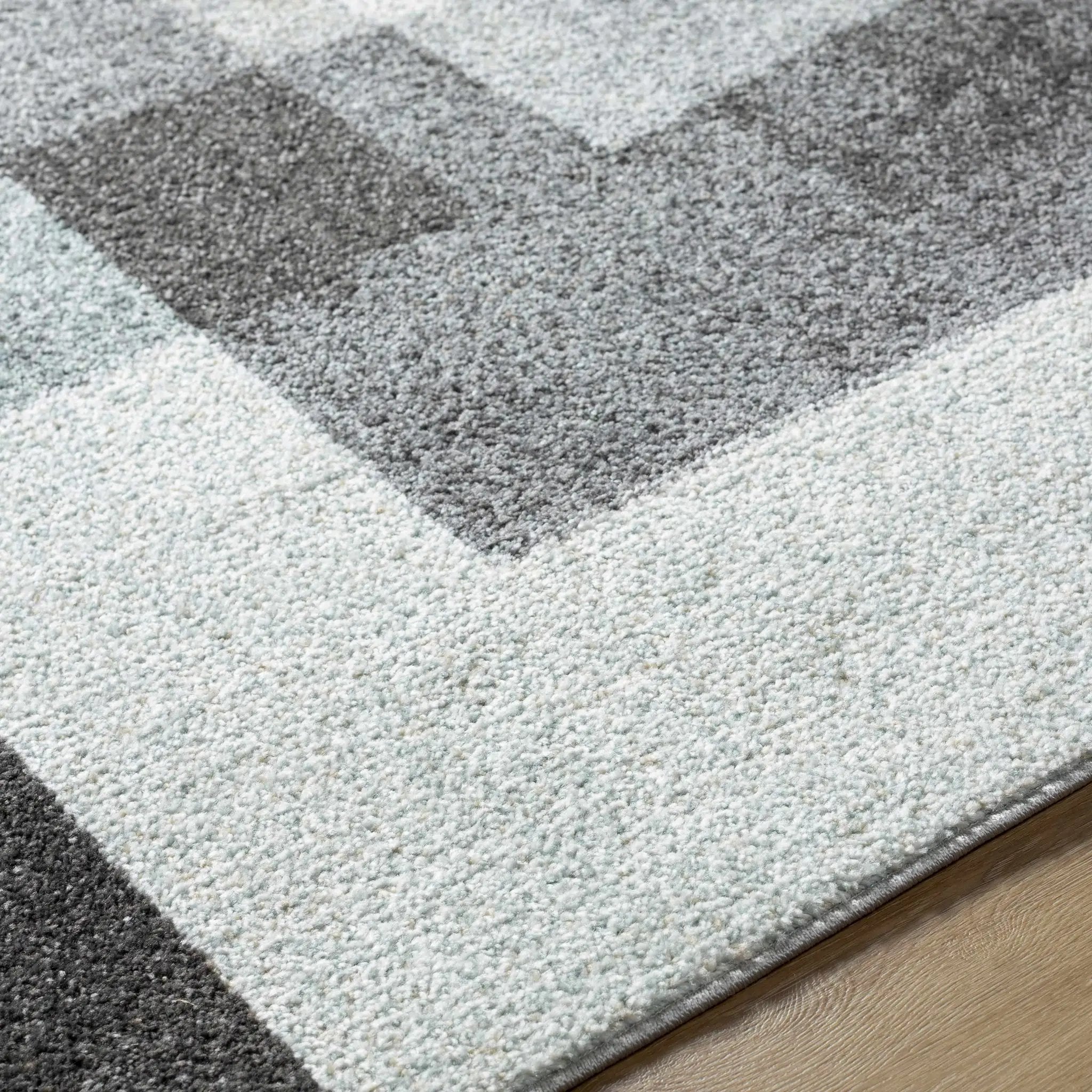 Raisa Area Rug - Clearance by Boutique Rugs