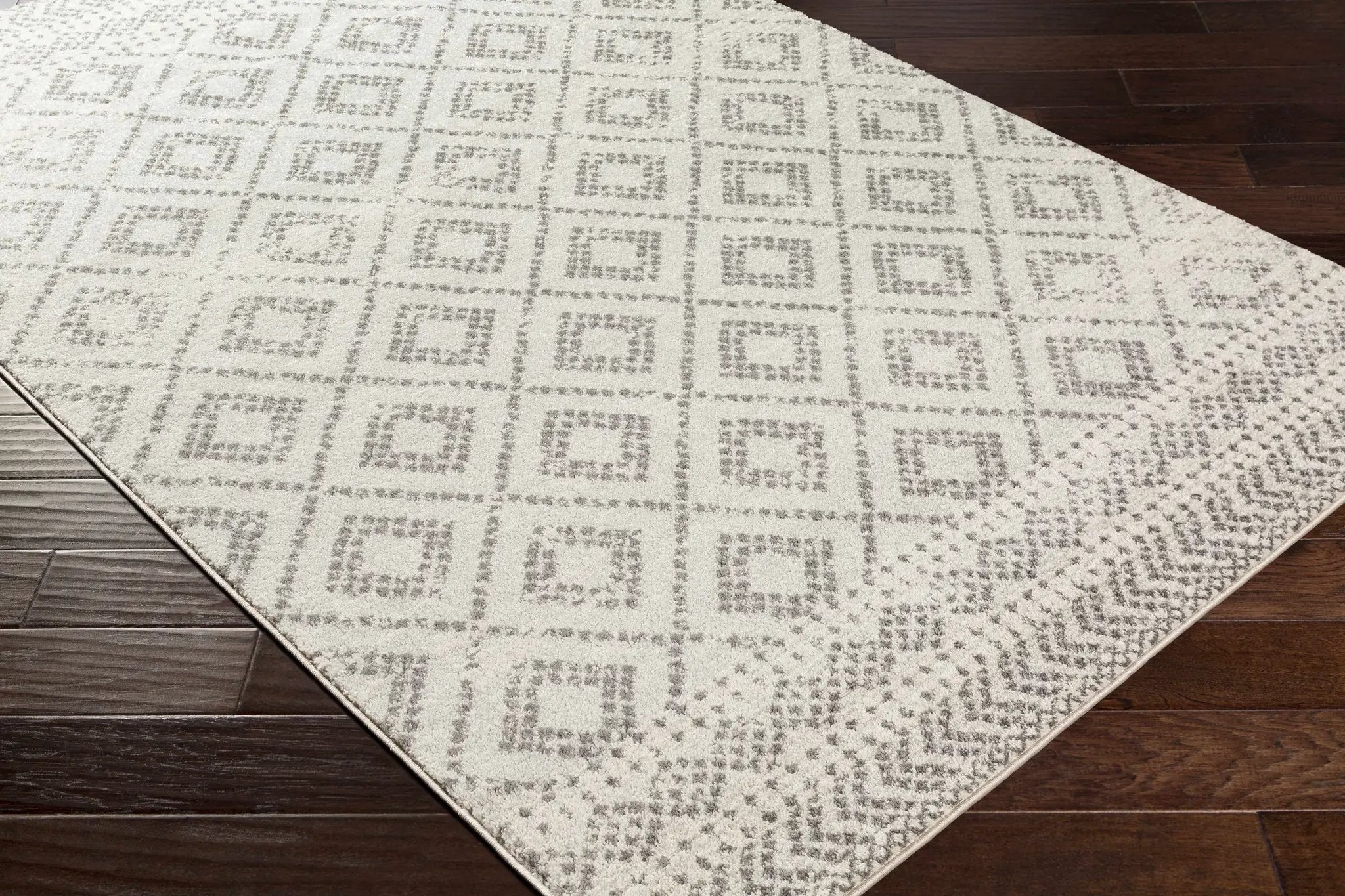 Romeoville Area Rug - Clearance by Boutique Rugs