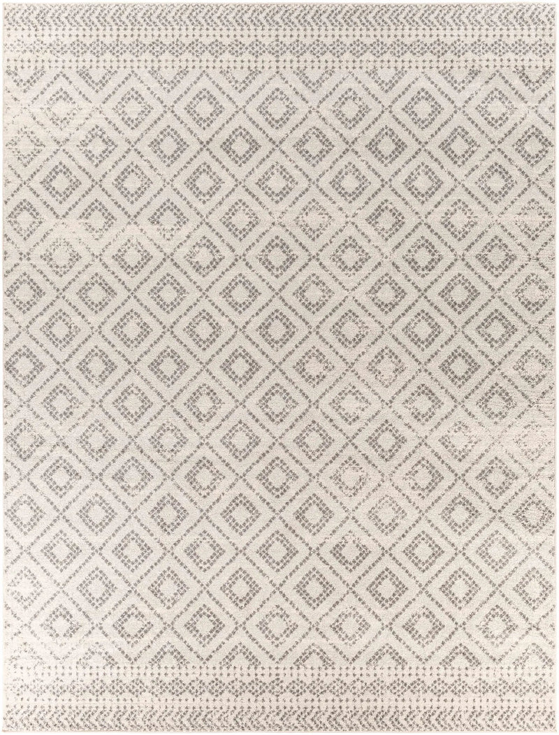 Romeoville Area Rug - Clearance by Boutique Rugs