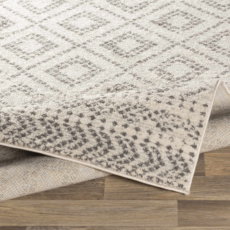 Romeoville Area Rug - Clearance by Boutique Rugs