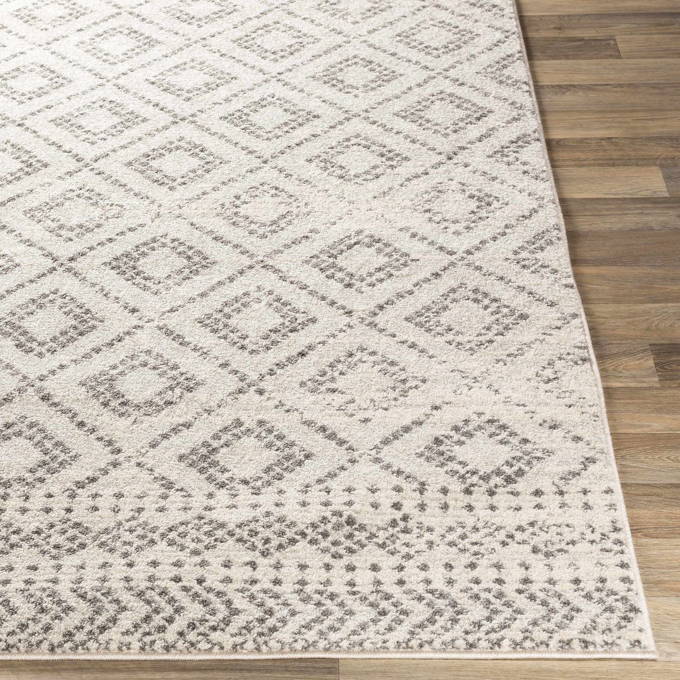 Romeoville Area Rug - Clearance by Boutique Rugs