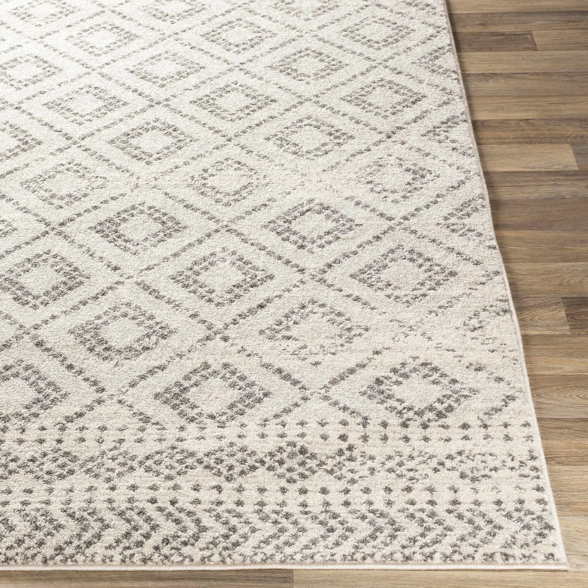 Romeoville Area Rug - Clearance by Boutique Rugs