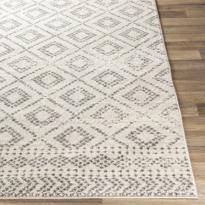 Romeoville Area Rug - Clearance by Boutique Rugs