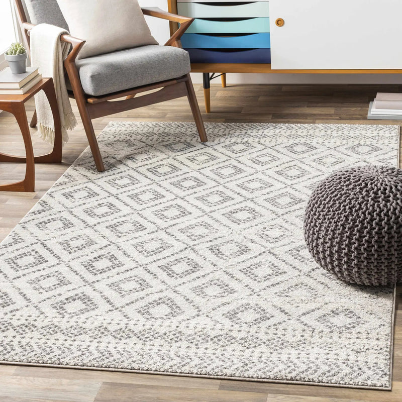 Romeoville Area Rug - Clearance by Boutique Rugs