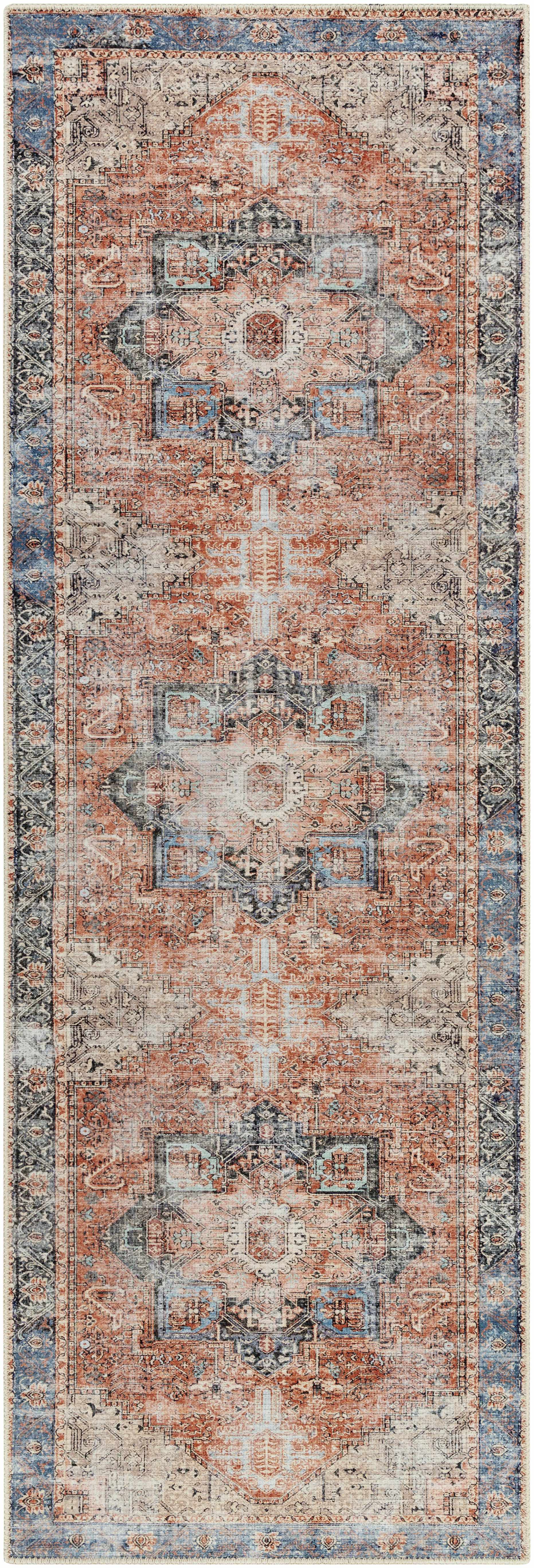 Rosman Distressed Washable Area Rug by Boutique Rugs