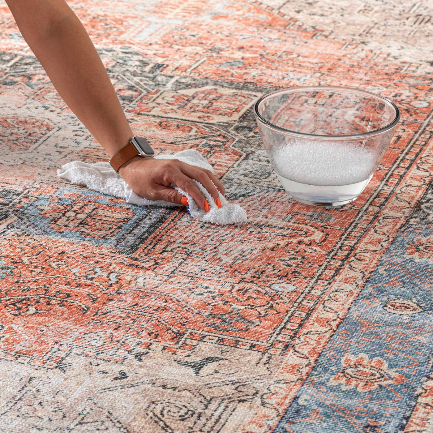 Rosman Distressed Washable Area Rug by Boutique Rugs