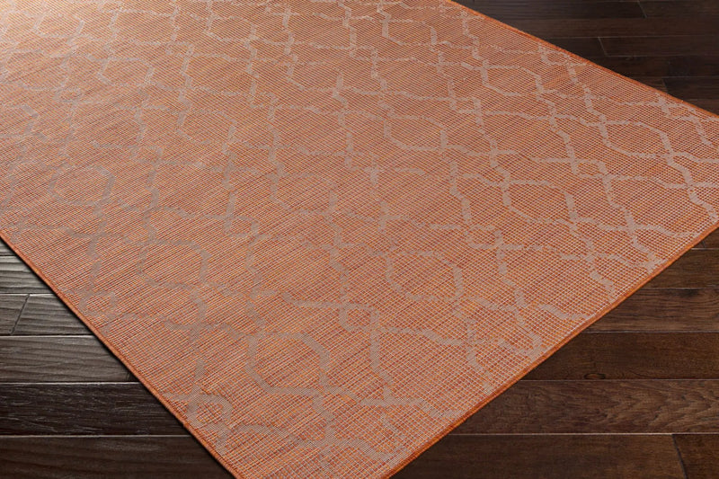 Rowde Flatweave Outdoor Area Carpet - Clearance by Boutique Rugs