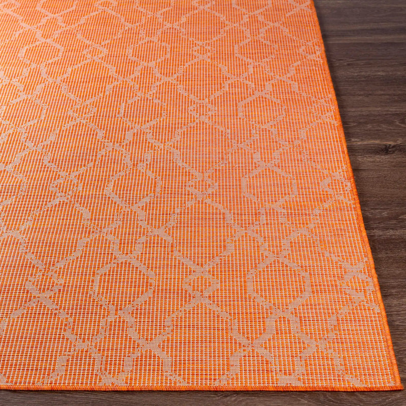 Rowde Flatweave Outdoor Area Carpet - Clearance by Boutique Rugs