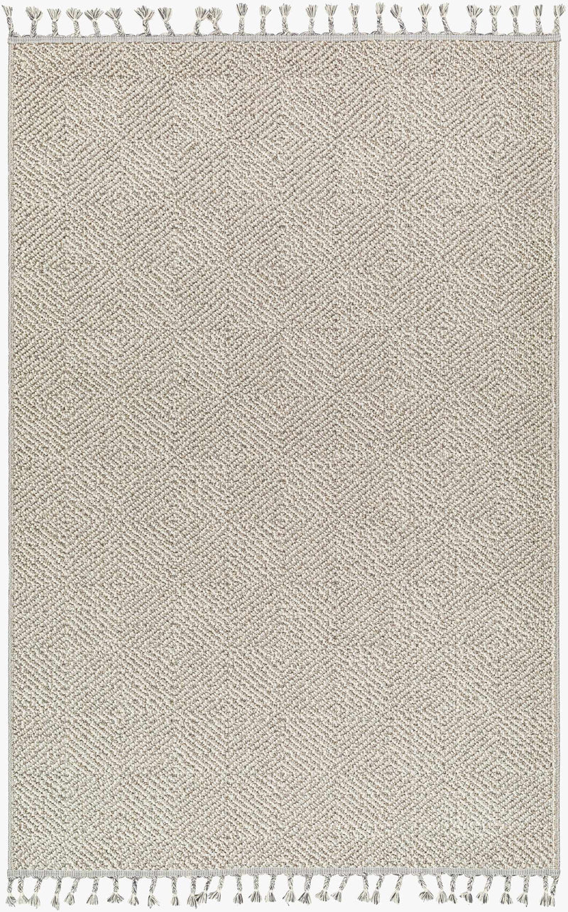 Broox Gray Outdoor Area Rug - Clearance by Boutique Rugs