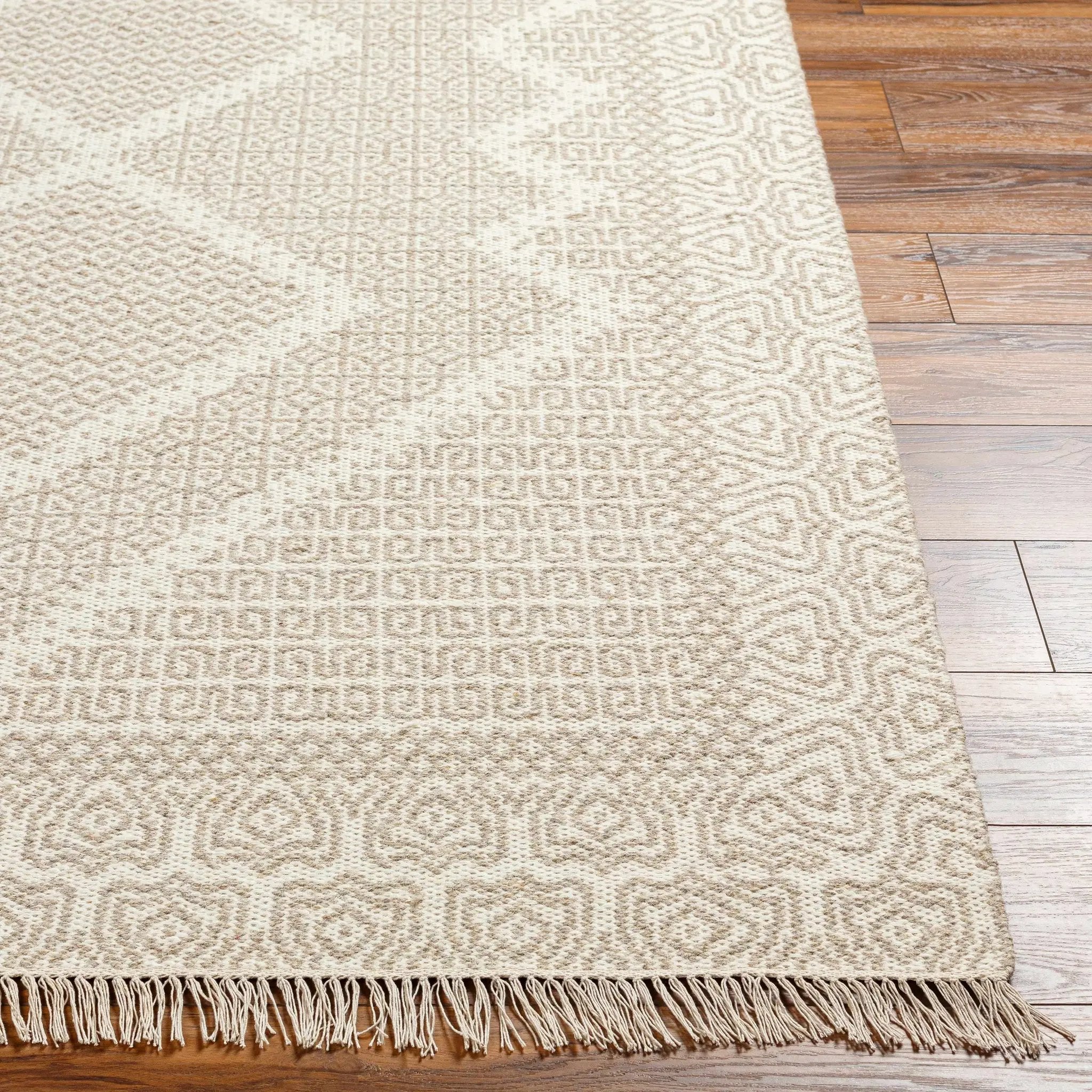 Rumi Area Rug - Clearance by Boutique Rugs