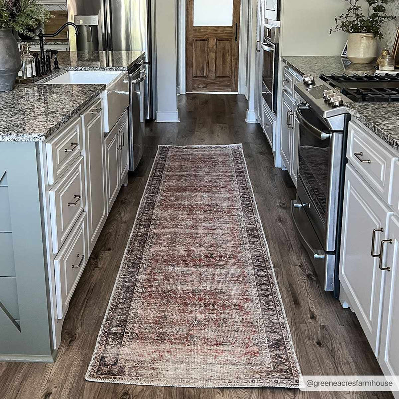 Rust Anahawan Distressed Washable Area Rug - Clearance by Boutique Rugs