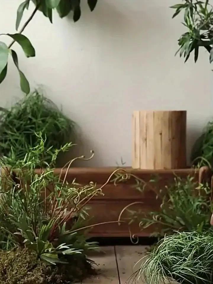 Natural Wooden Mushroom Sculpture for Rustic & Scandinavian Home Decor by House Of Avana