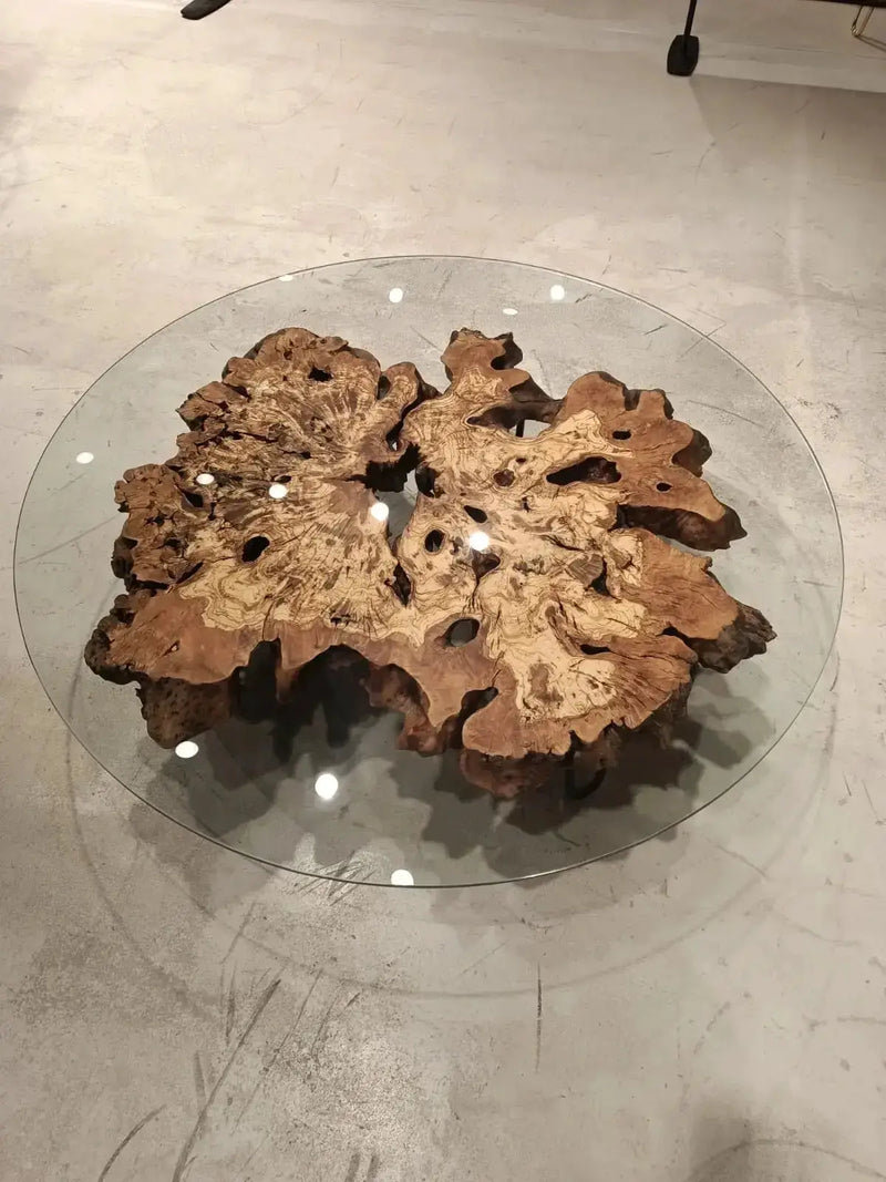 Olive Wood Rustic Coffee Table Featured Glass On Top by Gizz