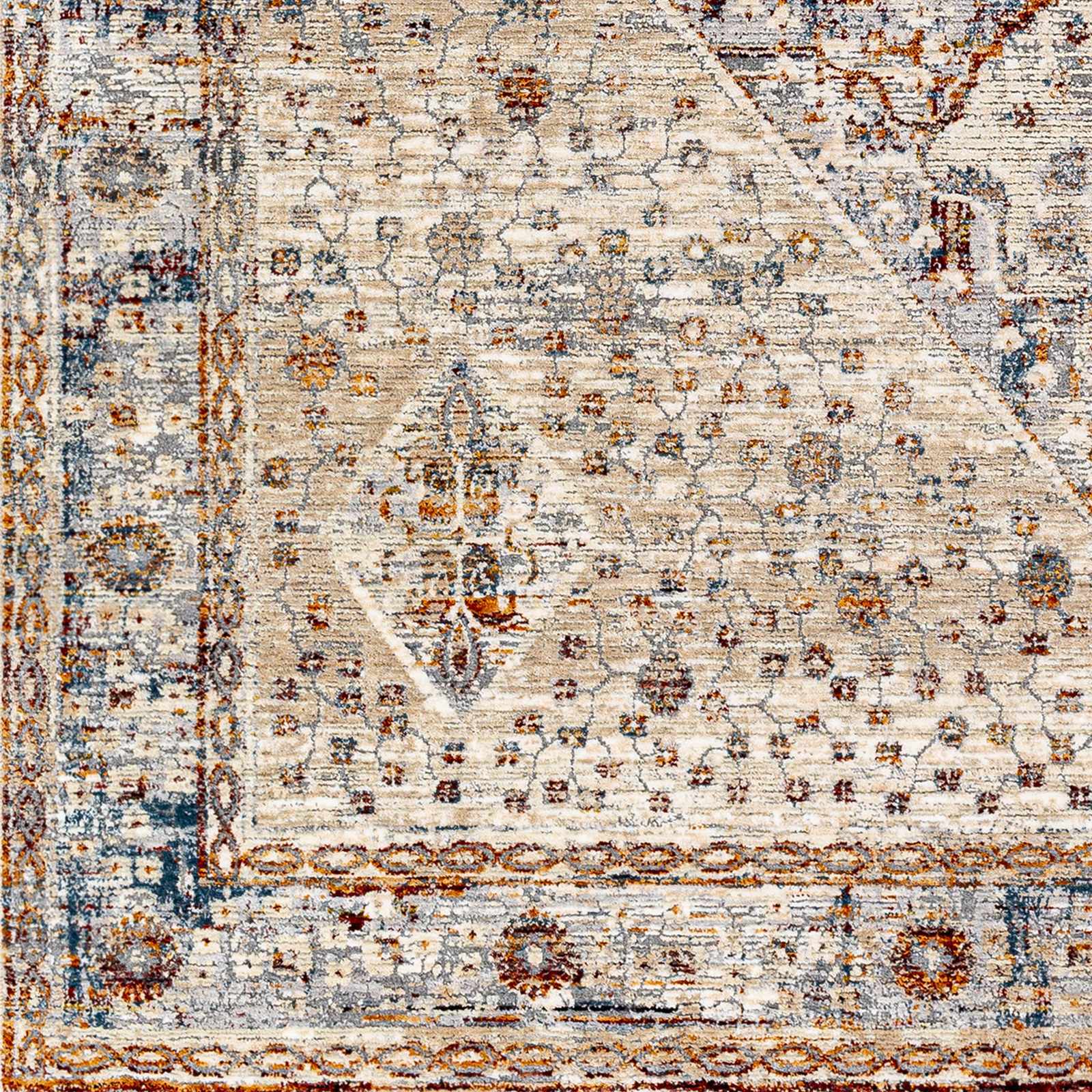 Roy Boutique Area Rug by Boutique Rugs