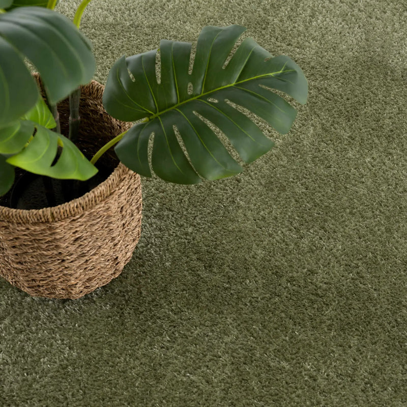 Heavenly Solid Green Plush Rug - Clearance by Boutique Rugs