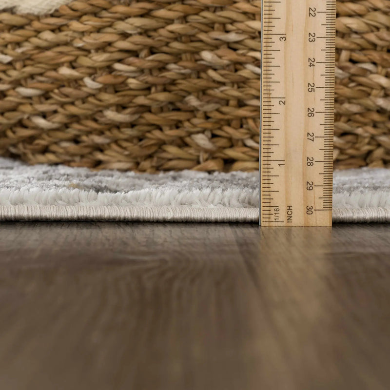Liverpool Light Gray Area Rug - Clearance by Boutique Rugs