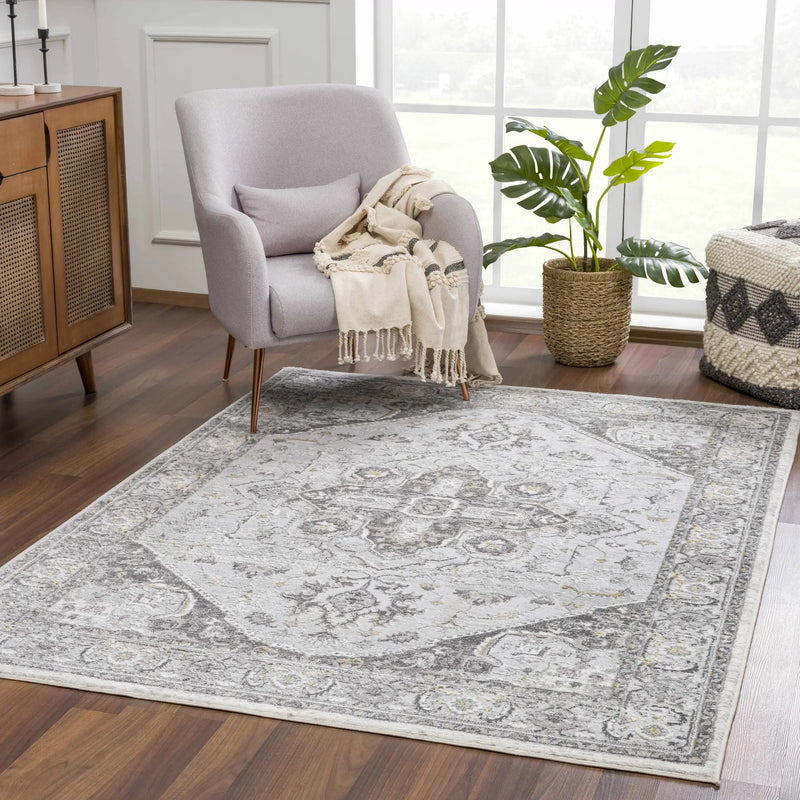 Liverpool Light Gray Area Rug - Clearance by Boutique Rugs