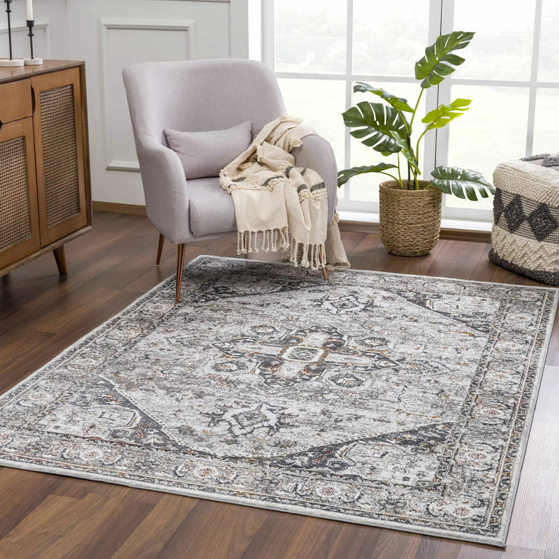 Liverpool Dark Gray Area Rug - Clearance by Boutique Rugs