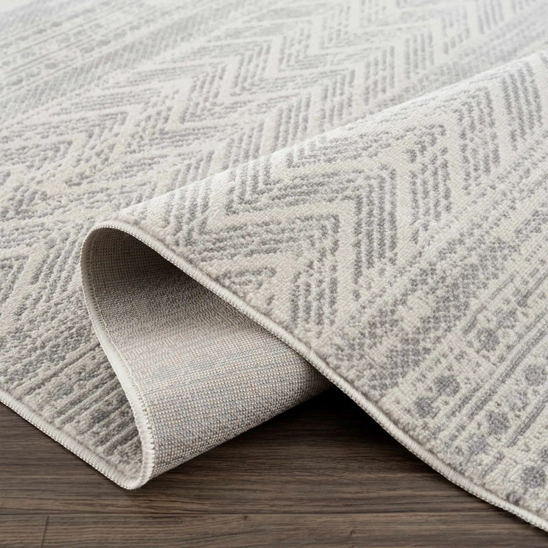 Chinnor Neutral Area Rug by Hauteloom
