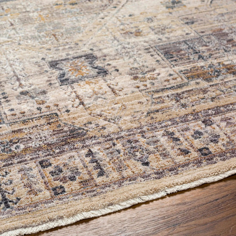 Iiona Area Rug - Clearance by Boutique Rugs