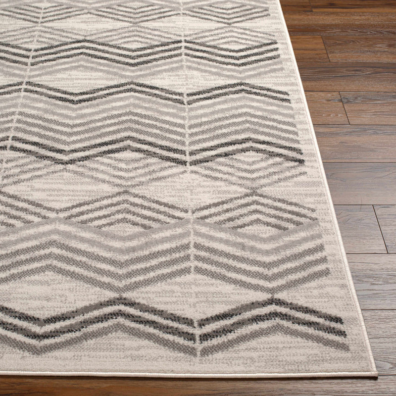 Saar Area Rug - Clearance by Boutique Rugs