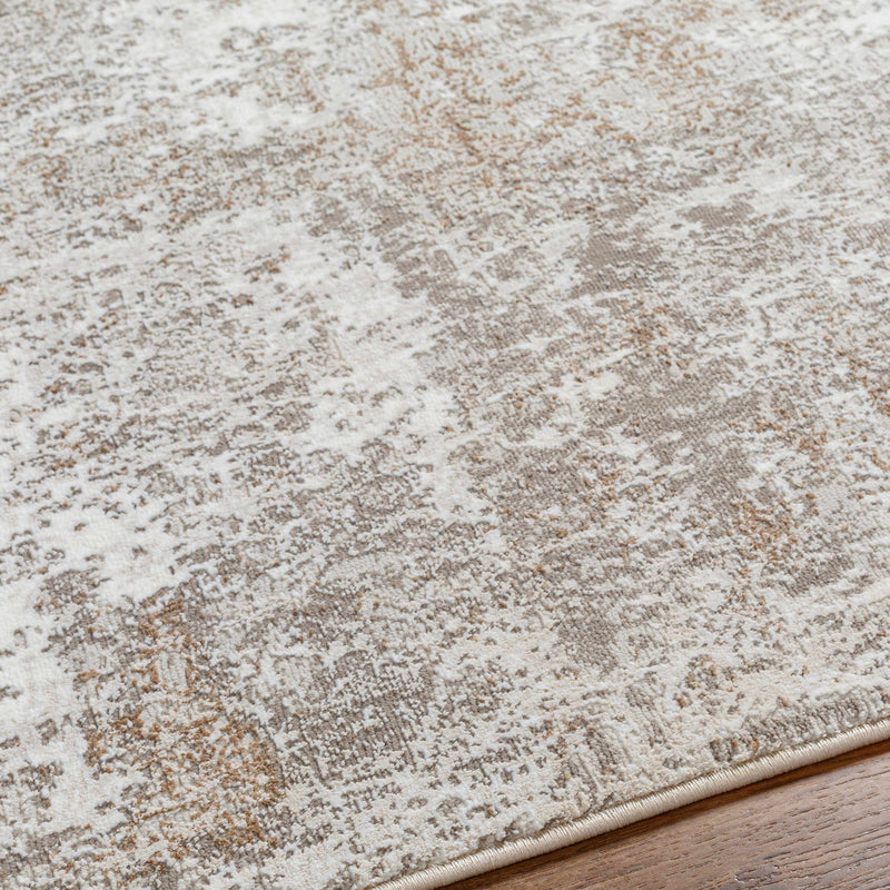 Bruna Area Rug by Boutique Rugs