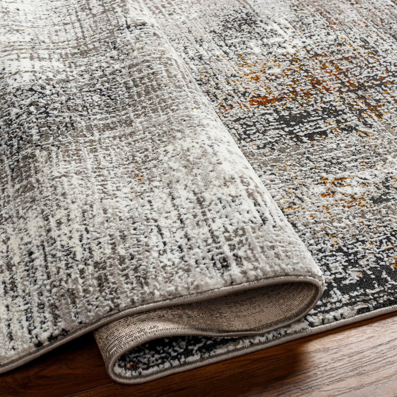 Ervin Gray Area Rug by Boutique Rugs