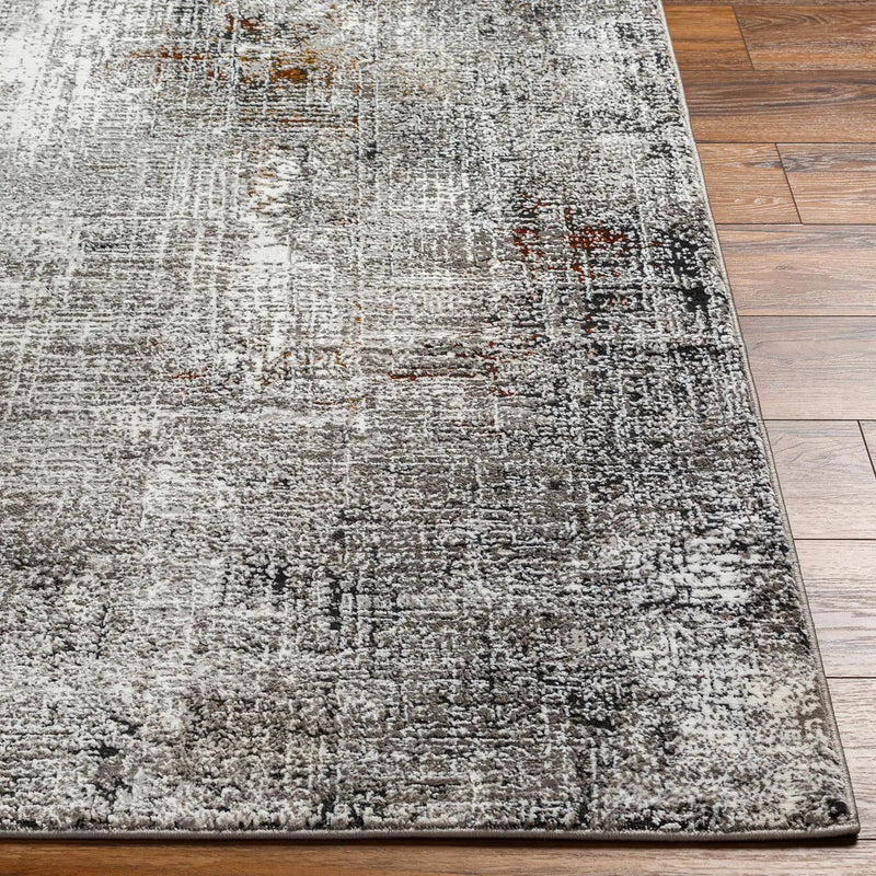 Ervin Gray Area Rug by Boutique Rugs
